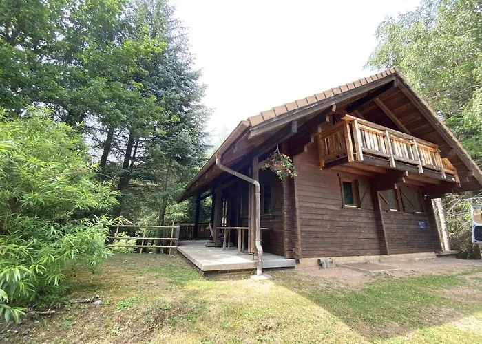 Le Skieur En Bois La Bresse